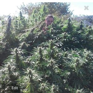 Meet your Posher, Casey